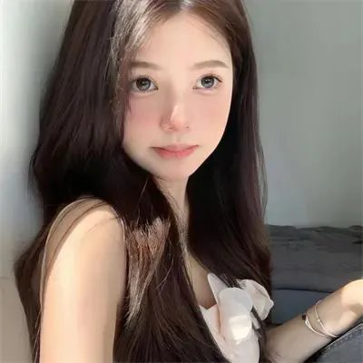 追影行动